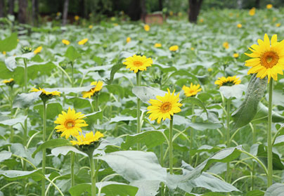 1631514261602567.jpg 1631514261602567.jpg